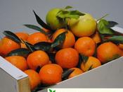 Freshnaranja