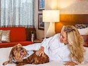 Hoteles admiten perros Madrid