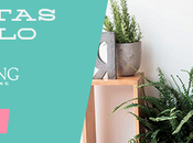 Llegan tarjetas regalo Westwing Sorteo