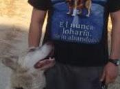 Hasta siempre querido Solo