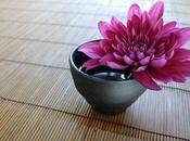 Curso On-line Feng Shui para Abundancia