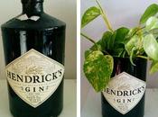 Botella jarron hendrick´s