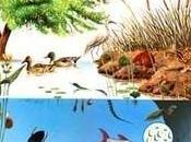 Peligros técnicas impulso genético