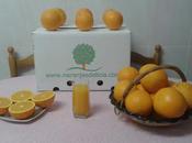 Naranjas, arbol mesa