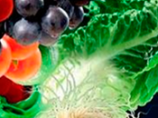 Alimentos Ideales Para Potenciar Mantener Cerebro Activo Saludable