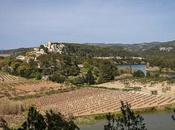 Dominios