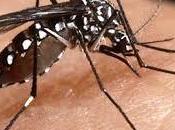 crecer naturalmente destruirse genéticamente