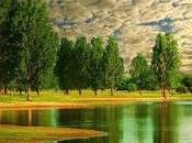 Cuando sabes decisión tomar