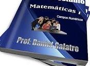 Guía Matemáticas: campos numéricos