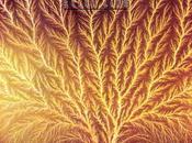 STILL LIFE Graaf Generator (1976)