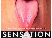 Sensation, Charles Saatchi