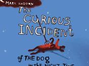 curioso incidente perro medianoche”, Mark Haddon