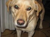 Paco, esperaba dueño gasolinera donde abandonó.