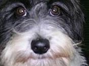 Urgente¡¡ sacrificar