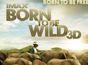 Born Wild