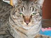 KIBO grandullón suerte (Murcia)