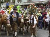 Festival Vacas Tirol!