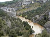 Lluvia Soria