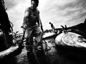 fotógrafo Antonio González muestra caza atún mediante almadraba desde nueva óptica