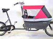 Silla paseo bicicleta,