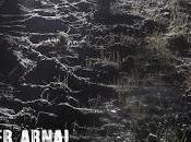 Javier arnal canciones defectuosas