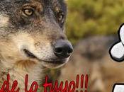 Salamanca exenta lobos