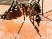 virus Zika nueva amenaza cambio climático?
