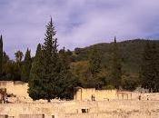Medina Azahara