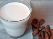 Leche almendras casera
