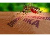 Retos Plantea Epidemia Virus Zika