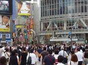 Colores transhumancia