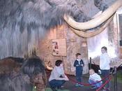 Visita guiada Museo Mamut