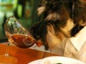 Mascotas restaurantes