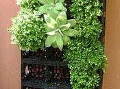 Jardines verticales