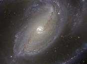 Galaxia espiral 1097