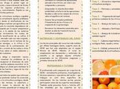 Curso online citricultura ecológica