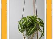 Crea portafolio fotográfico desde smartphone