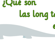 ¿Qué long tail palabras clave “cola larga”?