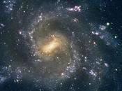 Galaxia espiral 7424