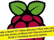 Raspberry brilliant projects