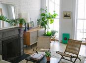 Leaf June: Decoración plantas interior