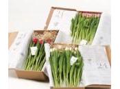Packaging Creativos Originales para flores