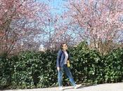 Primavera Spring