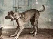 Pregunta Para Reflexionar ¿Pensáis Verdaderamente Información Poder?