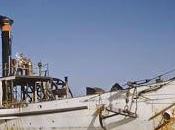 biomasa Henrietta Phileas Fogg