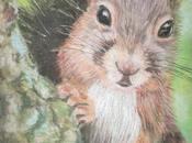 Ardilla pastel