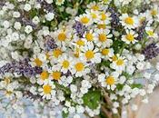 Simplicidad Ramo Novia.