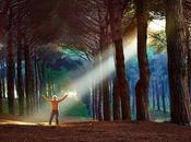 Preguntas debes hacerte quieres tener éxito trabajo vida