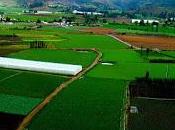 Celebrarán Constanza congreso anual Ecoturismo