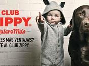 club zippy algo